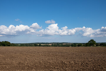 field and sky