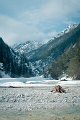 Log in the Mountains