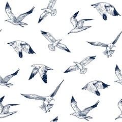 Seamless pattern. seagulls outlines. Hand drawn illustration converted to vector.