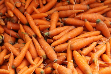 fresh carrots on market