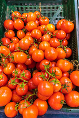 Shop trays with healthy fresh food. Healthy eating. Vitamins on display. Healthy food supermarket