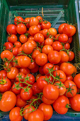 Fresh tomatoes in boxes on the supermarket counter