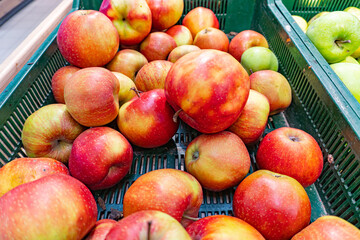 A lot of fresh red apples in the supermarket, pile of red apples as background, Red Gala texture