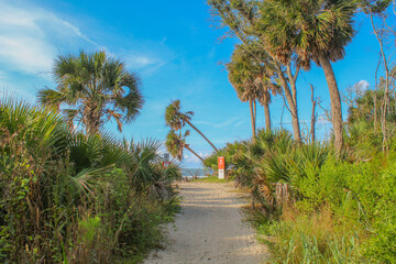 Fototapeta premium Botany Bay Beach on Edisto Island, South Carolina --- AKA 