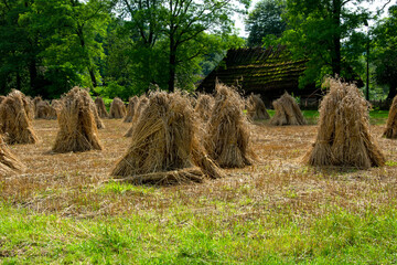 krajobraz wsi  © Dariusz Grochal 