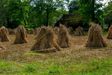 krajobraz wsi  © Dariusz Grochal 