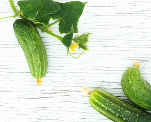 Cucumbers with yellow flower and leaves on white wood background