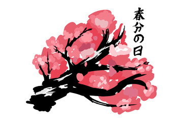 Translation: Vernal Equinox Day. Happy Vernal Equinox Day (Shunbun no Hi) vector illustration. 
