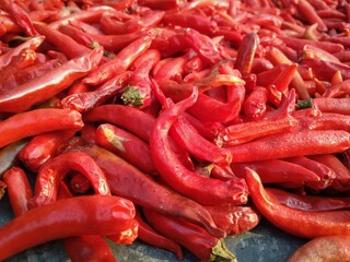 red hot chili peppers