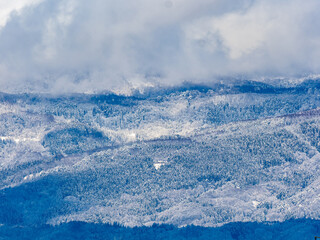 Winter forests of Mt. Kosha in Nagano, Japan 1