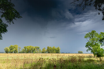 Fototapeta na wymiar Rural landscape with a stormy sky