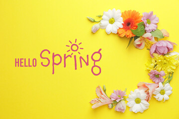 Composition with beautiful spring flowers and text HELLO SPRING on color background
