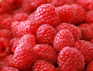 Sweet red raspberries as a background