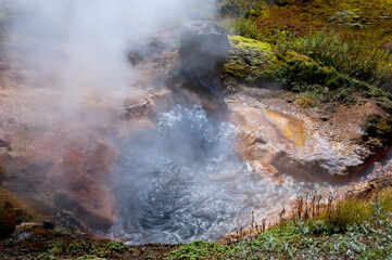 Fototapeta na wymiar Water boils in the geyser crater. Valley of Geysers, Kamchatka. 