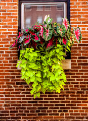 Photo taken in Downton Baltimore, Maryland