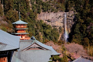 熊野那智大社から那智の滝を望む