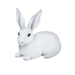 Watercolor cute gray and white Easter bunny