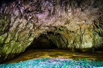 Natural tunnel and cave entrance in Skocjan valley, Slovenia