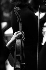  Woman's hand holding violin in orchestra close-up in black and white 
