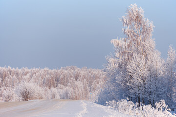 Winter road under snow. Frozen birch trees covered with hoarfrost and snow.