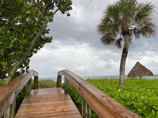 wooden bridge over the sea