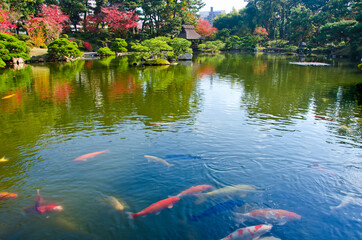 Shukkeien Japanese style garden in Hiroshima , Japan