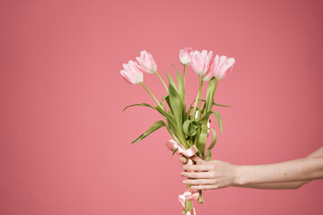 a bouquet of flowers in the hands of a woman pink background