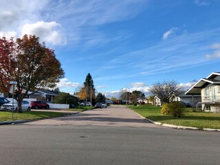 Fototapeta premium street in the city