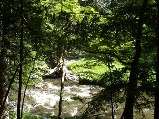 Fototapeta premium Wilson waterfalls in southern Quebec 