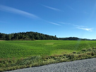 landscape with field and sky