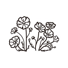 コスモスの手描き風イラスト