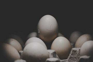 pile of chicken eggs on a dark background