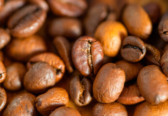 coffee beans background
