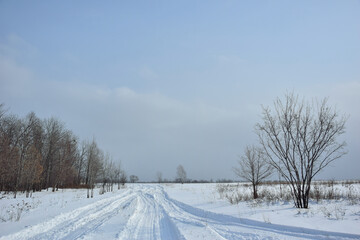 Fototapeta na wymiar Snowmobile tracks in the field.