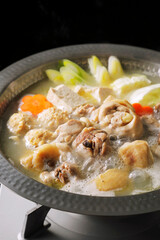 鶏の水炊き　Mizusaki (Japanese chicken hot pot)
