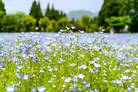 Taketa Images Browse 79 Stock Photos Vectors And Video Adobe Stock