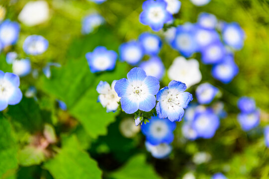 Taketa Images Browse 79 Stock Photos Vectors And Video Adobe Stock