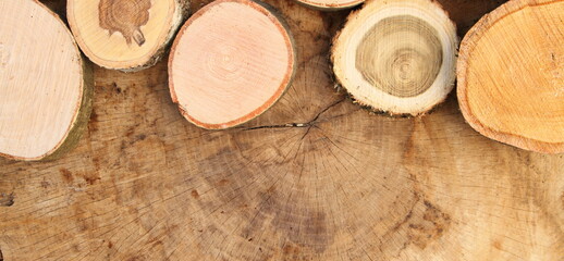 different round wooden disks as a frame on a board