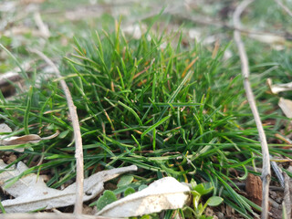 NATURE PHOTOGRAPHY SO PERFECT PHOTO MT9