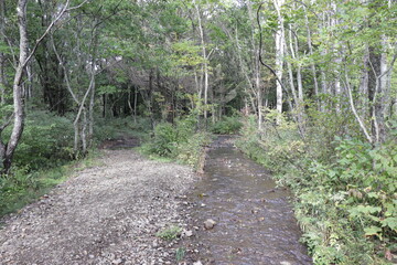 戸隠神社の鏡池（散策路）