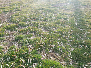 NATURE PHOTOGRAPHY SO PERFECT PHOTO MT15