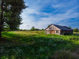 Summer. Sunny day. Abandoned old wooden farmhouse on a green meadow