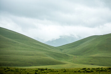 Obraz premium Endless steppe in the valley at the foot of the mountains, bathed in bright sunlight. Amazing view on green mountains. mountain, covered with green trees, under a blue sky with clouds.