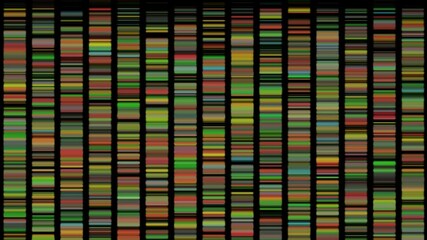 DNA  barcodes . DNA barcoding multicolors . Fast downwards scrolling motion . 3d animation render 