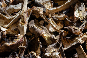 Dried forest mushrooms.