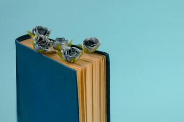 The book is a hard blue cover with flowers between the pages.