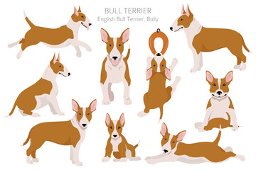 Bull terrier clipart. Different poses, coat colors set. - obrazy, fototapety, plakaty