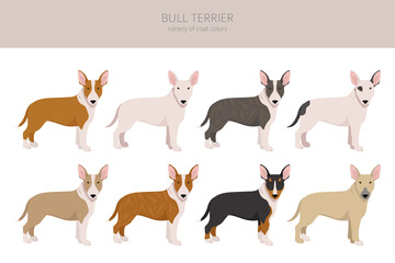 Bull terrier clipart. Different poses, coat colors set.