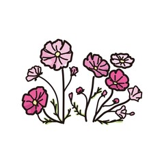 コスモスの手描き風イラスト（カラー）