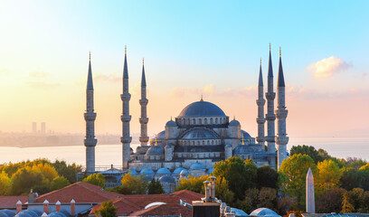 The Blue Mosque, also know as Sultan Ahmet Mosque, Istanbul - obrazy, fototapety, plakaty